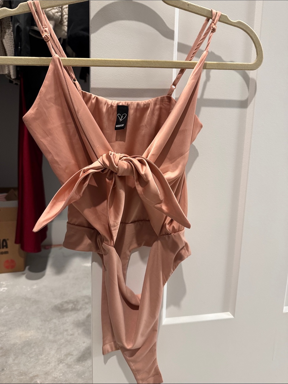 Windsor Rose Blush Satin Tie-Front Bodysuit